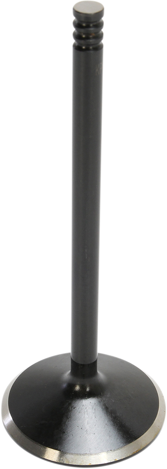 Intake Valve - 883/1200 XL