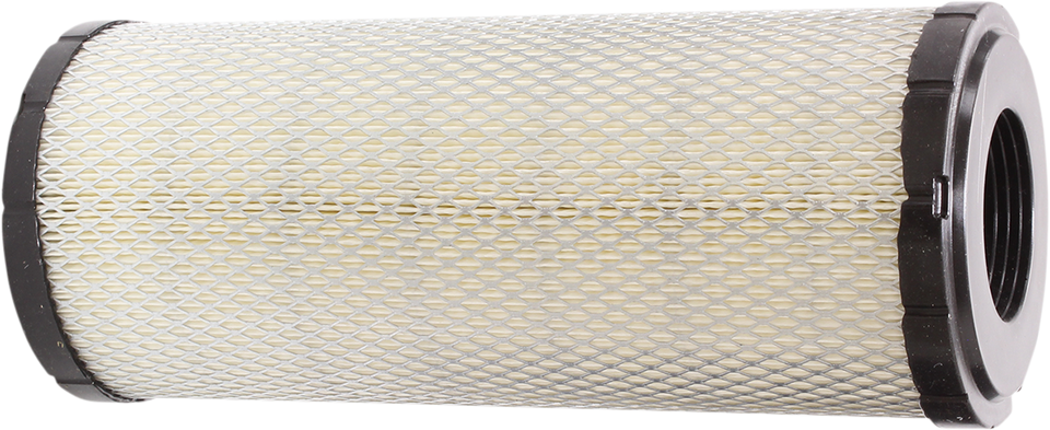 Replacement Air Filter - Polaris