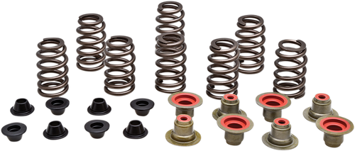 Valve Spring Kit