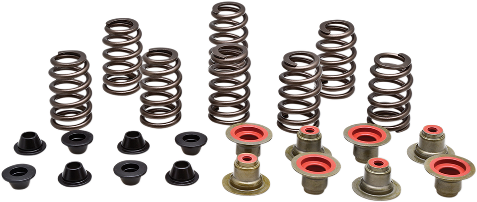 Valve Spring Kit