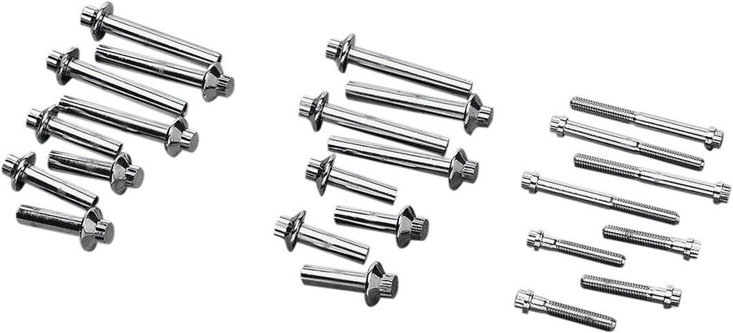 Head Bolt Kit - Chrome - Lutzka's Garage