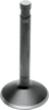 Exhaust Valve - Big Twin