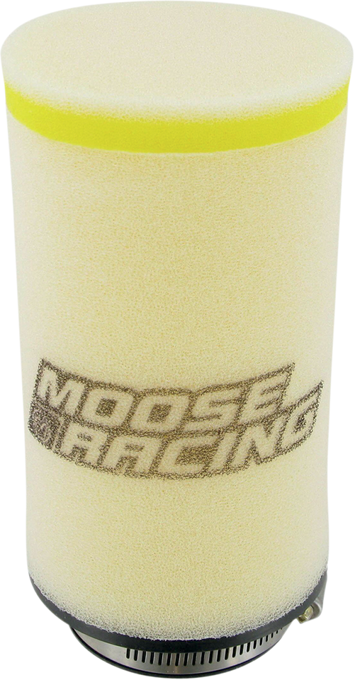 Air Filter - Polaris