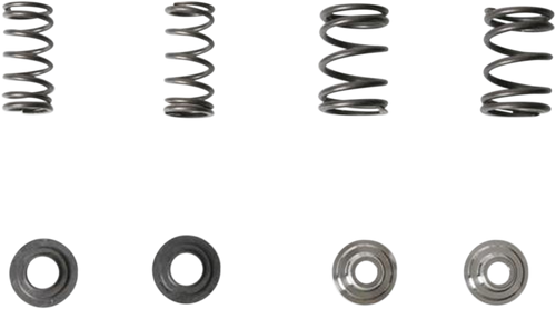 Valve Spring Kit
