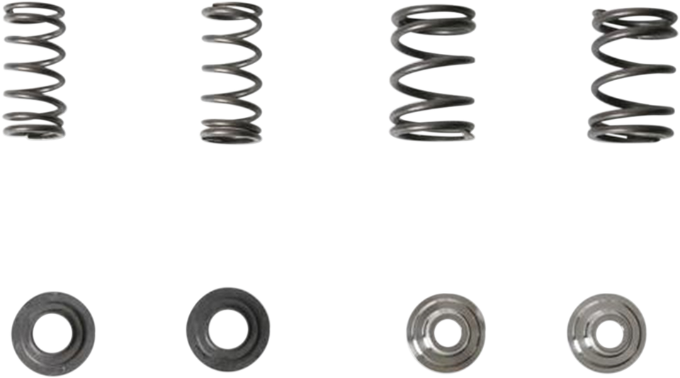 Valve Spring Kit