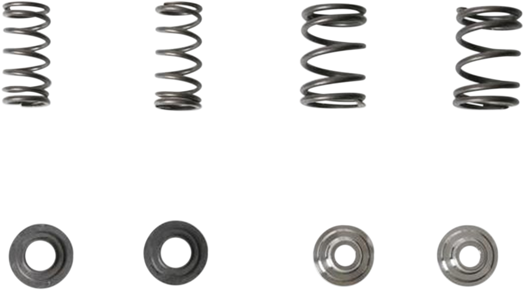 Valve Spring Kit
