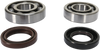 Crank Bearing and Seal Kit - Yamaha