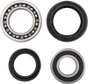 Wheel Bearing Kit - Rear