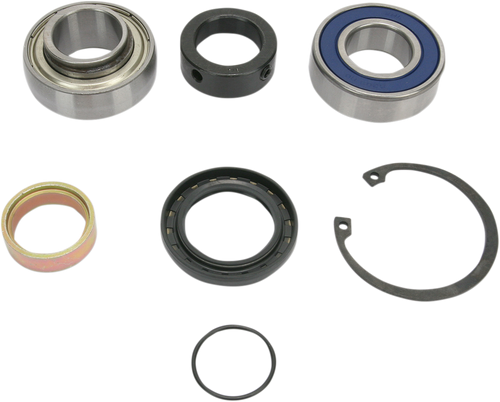 Chain Case Bearing and Seal Kit