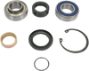 Chain Case Bearing and Seal Kit
