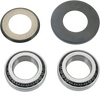 Steering Stem Bearing Kit - RMz450