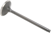 Intake Valve