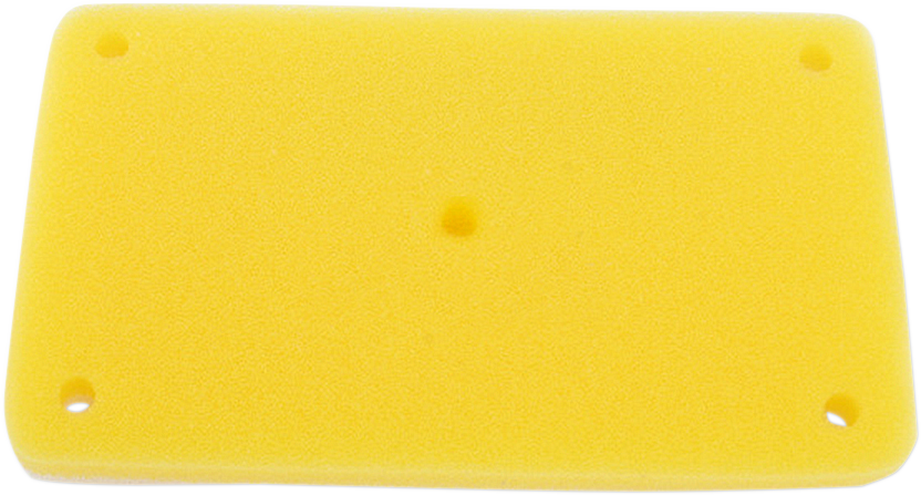 Air Filter - Kawasaki