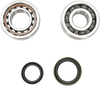 Crank Bearing and Seal Kit - Gas Gas/Husaberg/Husqvarna/KTM