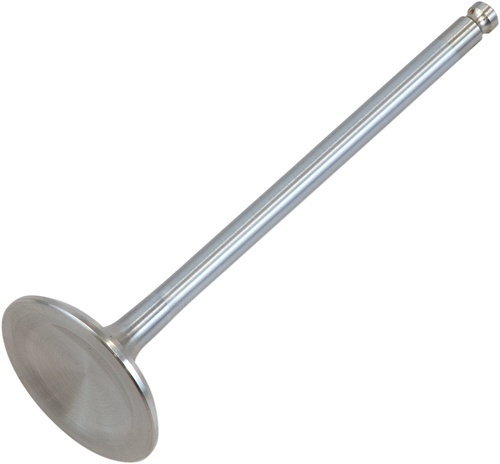 Intake Valve