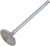 Intake Valve