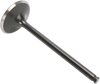 Intake Valve
