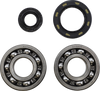 Main Bearing Kit