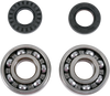 Crank Bearings and Seals - Yamaha