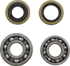 Main Bearing Kit