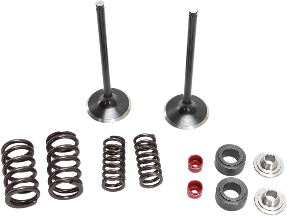 Intake Valve Kit