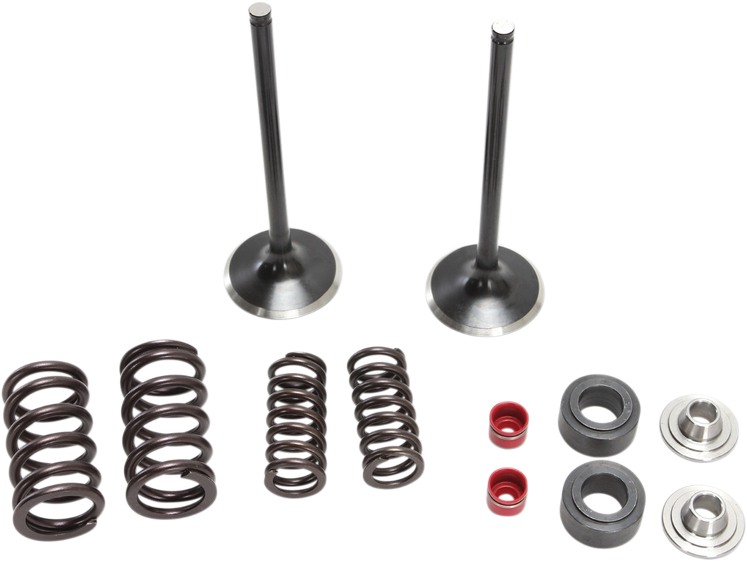 Intake Valve Kit