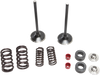 Intake Valve Kit