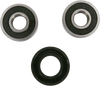 Wheel Bearing Kit - Rear