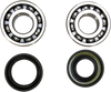 Crank Bearing and Seal Kit - Yamaha