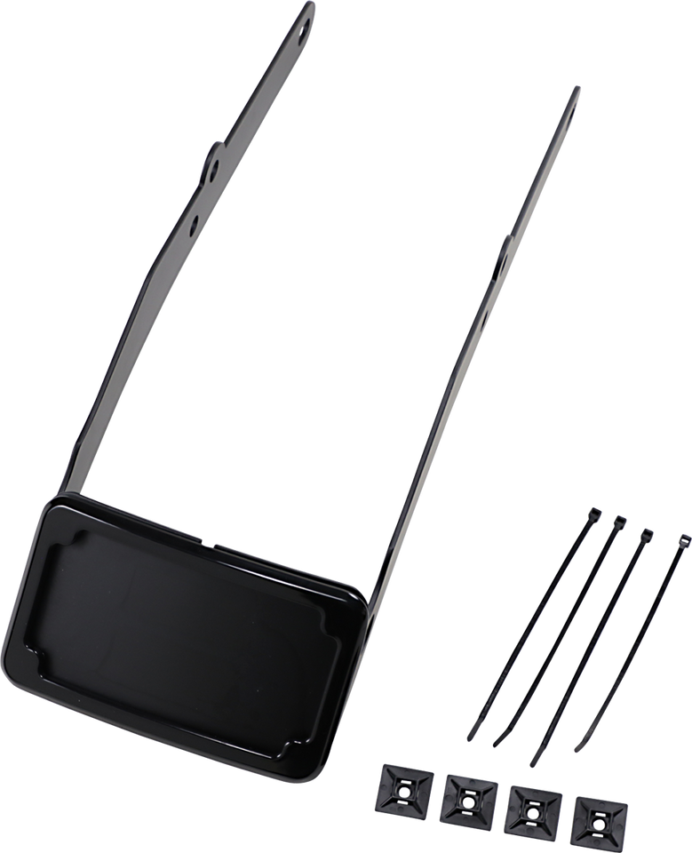 LP Plate Frame & Mount with Tag Light - FLSL - Black - Lutzka's Garage
