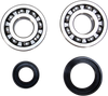 Crank Bearing and Seal Kit - Yamaha