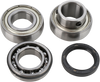 Chain Case Bearing and Seal Kit