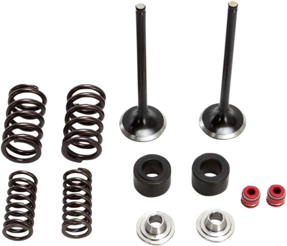 Valve and Spring Kit