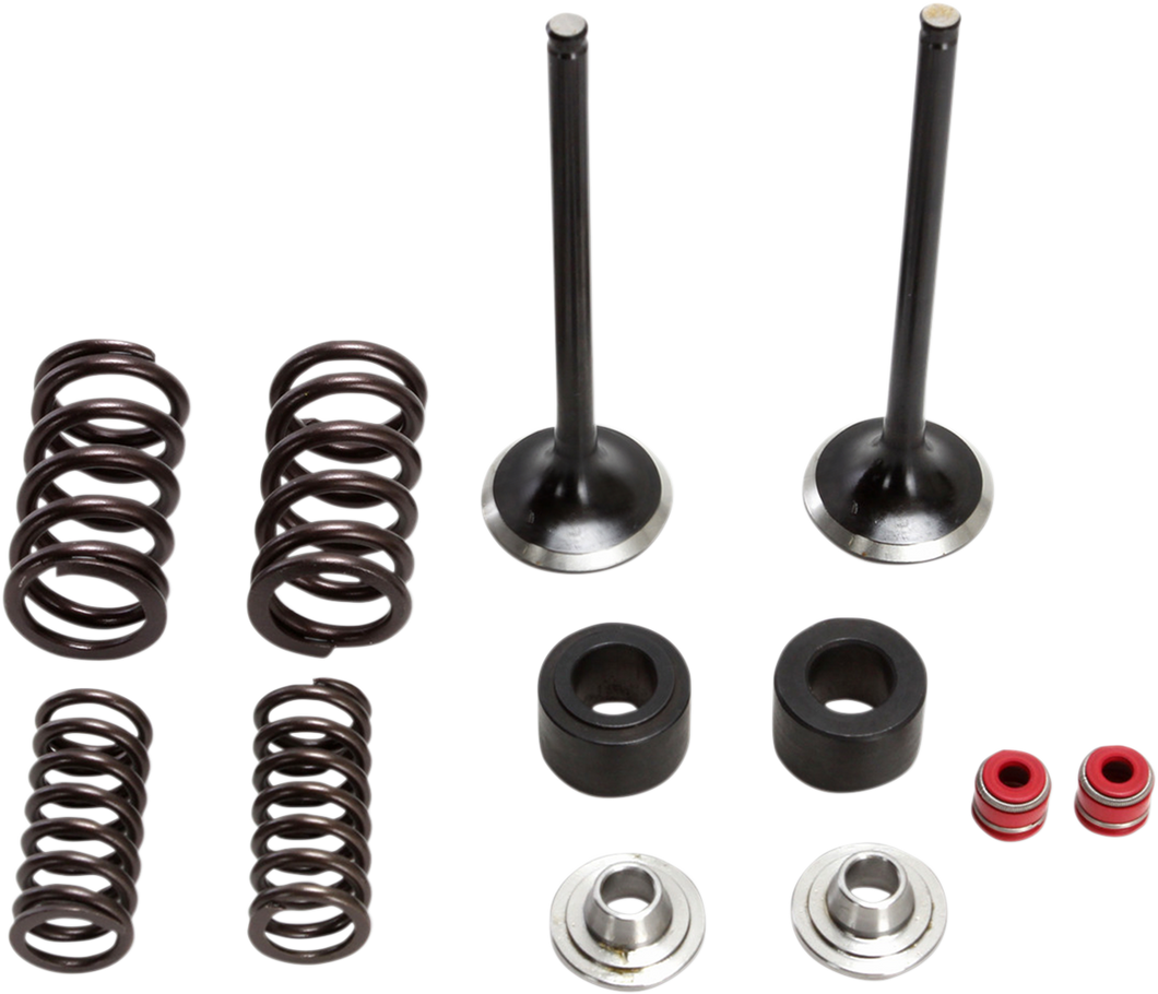 Valve and Spring Kit