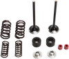 Valve and Spring Kit