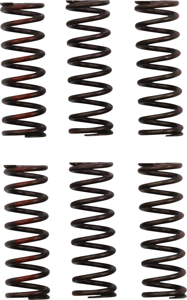 Clutch Springs - CRF 450R