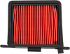 OEM Replacement Air Filter - Right - Triumph