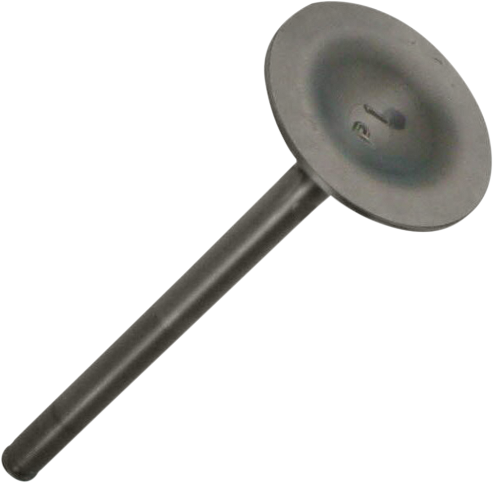 Exhaust Valve