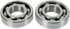Crankshaft Bearings - Suzuki