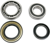 Wheel Bearing Kit - Rear - Yamaha