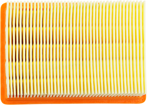 Scooter Air Filter - BMW