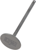 Intake Valve - Suzuki