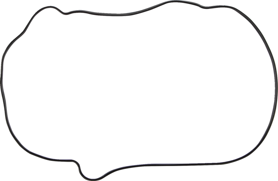 Clutch Outer Gasket - KTM