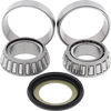 Steering Stem Bearing Kit