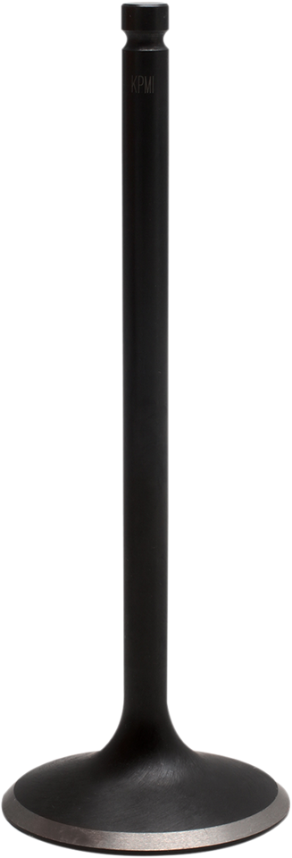 Intake Valve - Polaris 500 - Standard