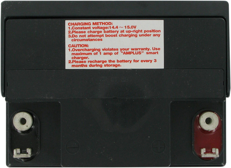 AGM Battery - YIX30L