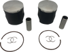 Piston Kit - 57.87 mm - Ski Doo | Lynx