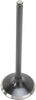 Intake Valve