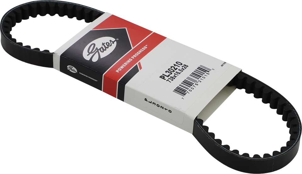 Belt Drive - Premium - 738x16.5x28