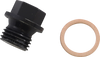 Engine Drain Plug